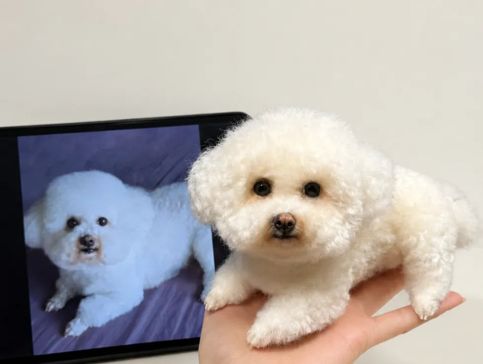 Custom Wool Felt Pet Portrait Frame From Photo