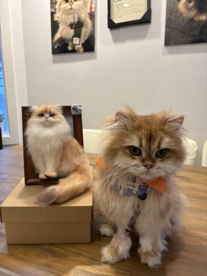 Mochi