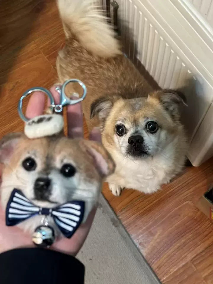 A finished custom wool felt pet keepsake