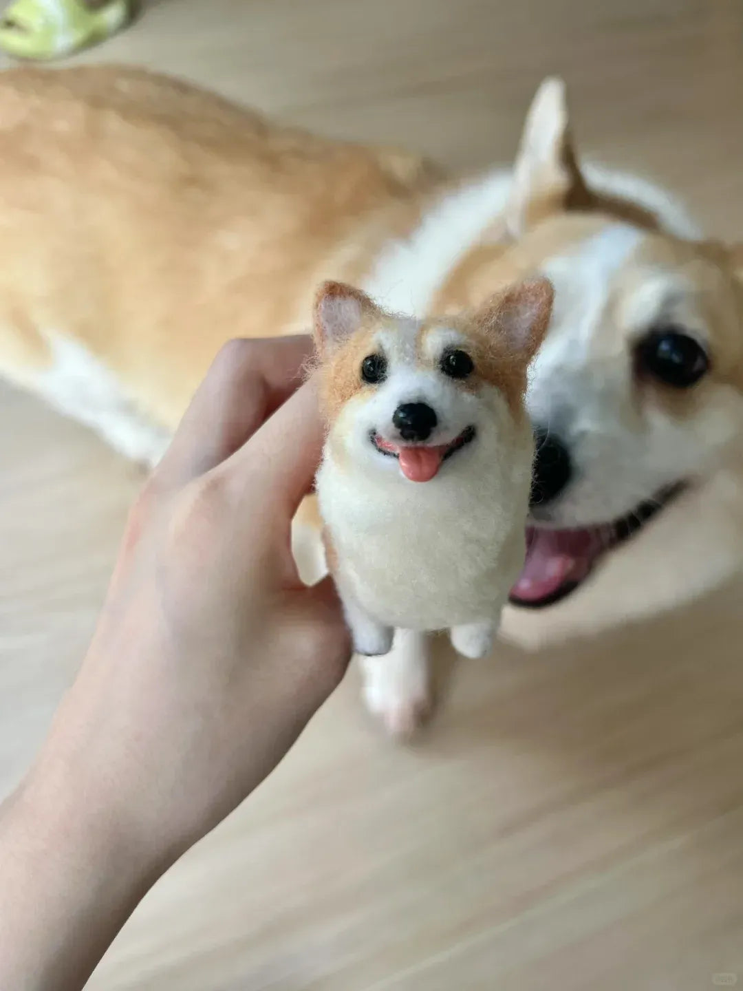 A pet photo shared for a custom wool felt keepsake